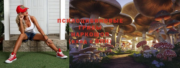 герыч Арсеньев