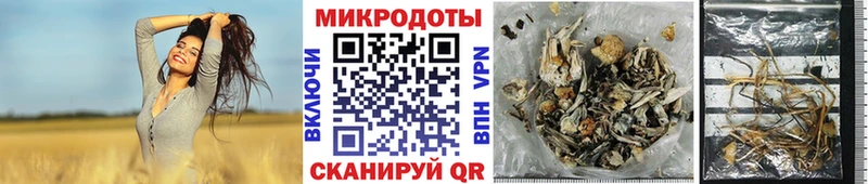 цена   мега   Галлюциногенные грибы ЛСД  Плёс 