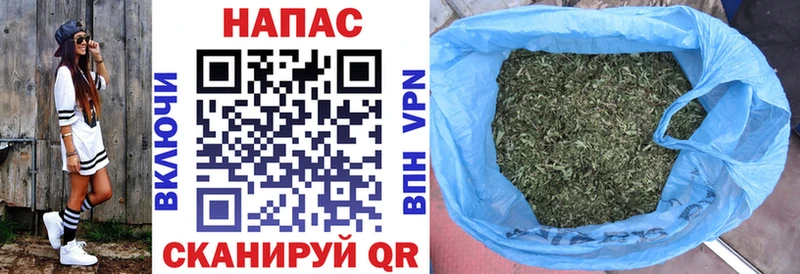 Бошки Шишки конопля дарнет шоп Плёс